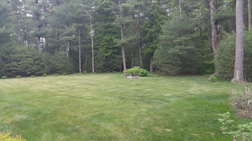 110 1/2 Middleboro Road Freetown, MA 02717 - Photo 26 of 28