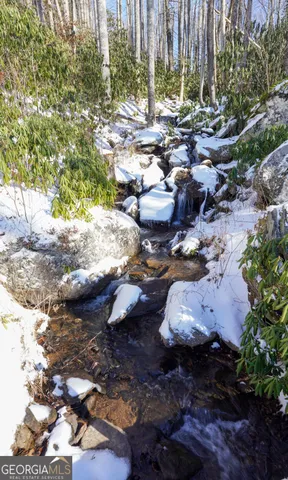 $1,735,000 | 115 Dam Lake Drive, Dillard, GA 30537