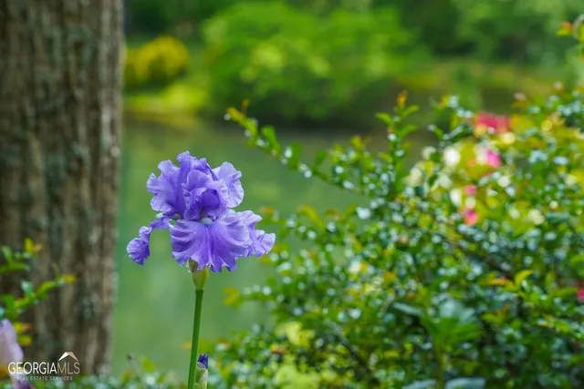 a utility room with cabinets washer and dryer