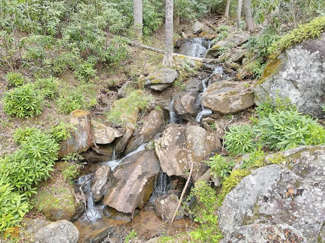 a view of a kitchen with furniture and windows