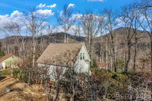 a view of backyard with large trees