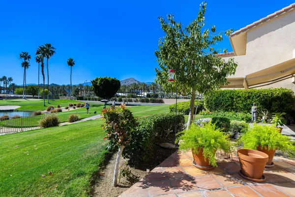 a view of a garden with potted plants