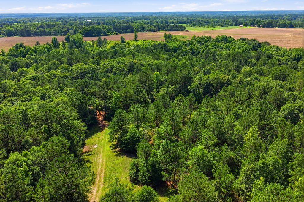Lot #4 Crosby Clark Road Opp, AL 36467 - Photo 4 of 9