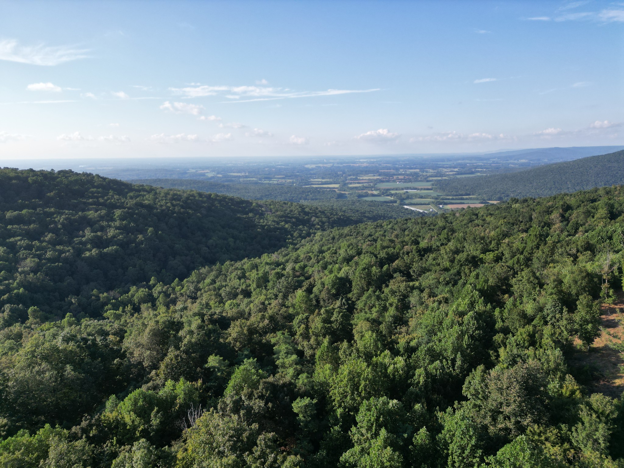 0 Box House Road Winchester, TN 37398 - Photo 11 of 18 a view of a green field with lots of bushes
