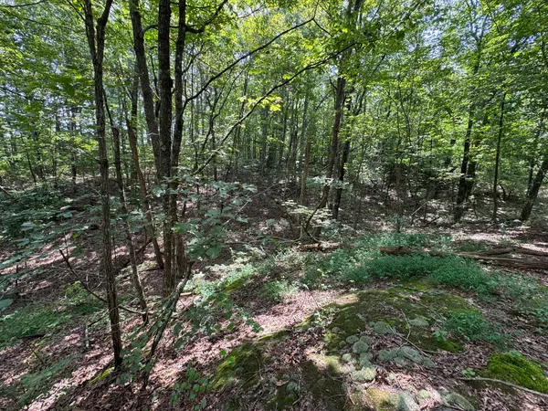 $175,000 | 0 Box House Road, Winchester, TN 37398