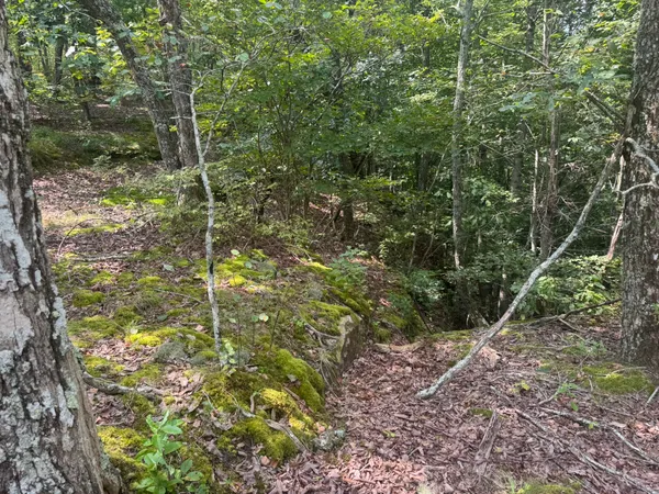 $175,000 | 0 Box House Road, Winchester, TN 37398
