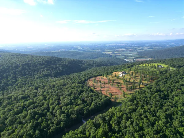 a big yard with lots of green space and deers