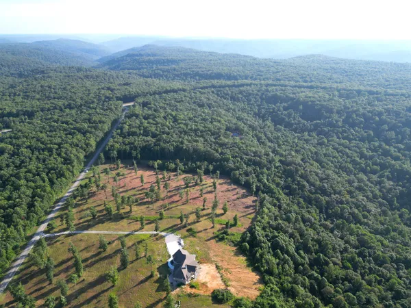 a view of forest