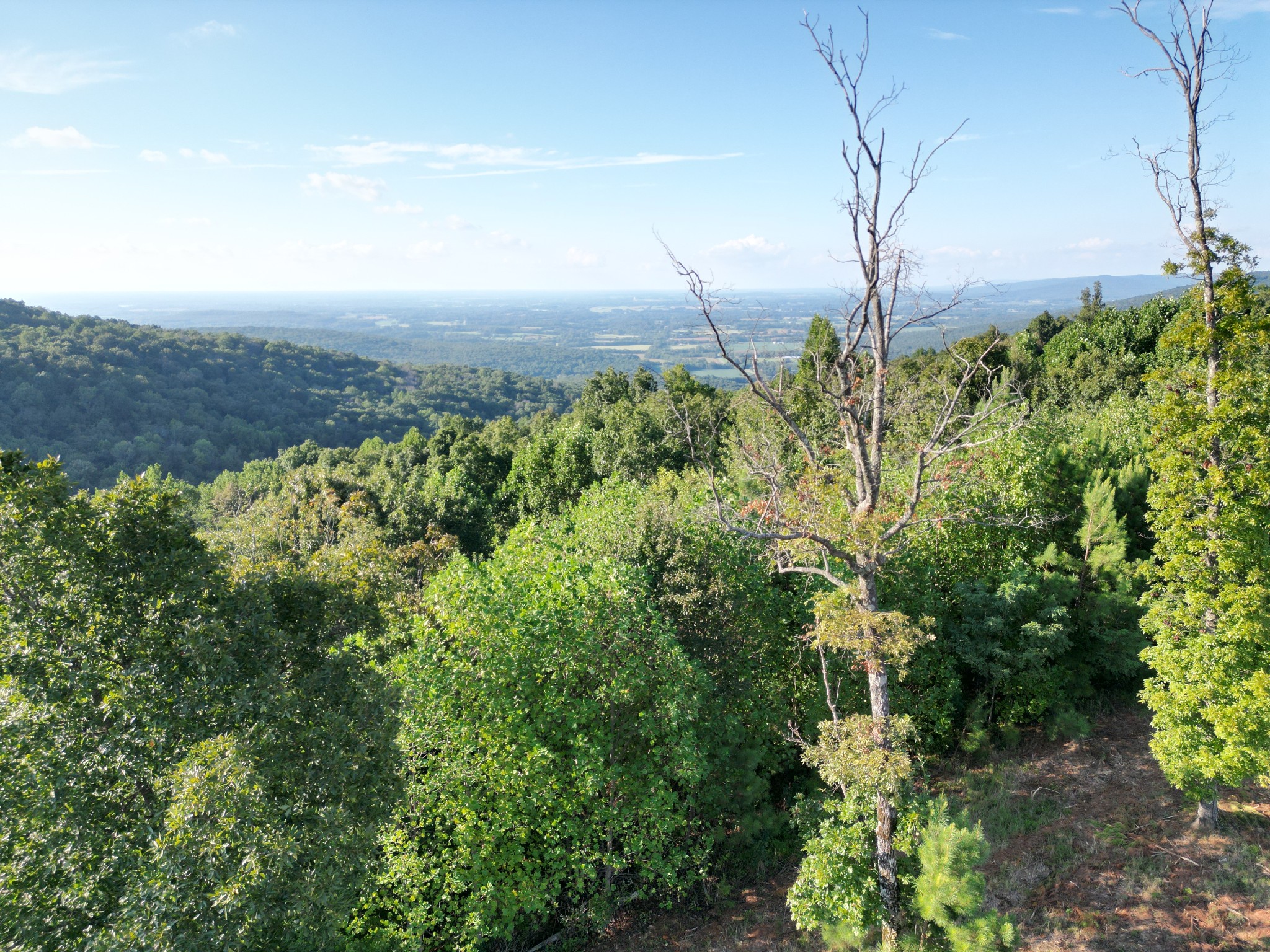 0 Box House Road Winchester, TN 37398 - Photo 10 of 18