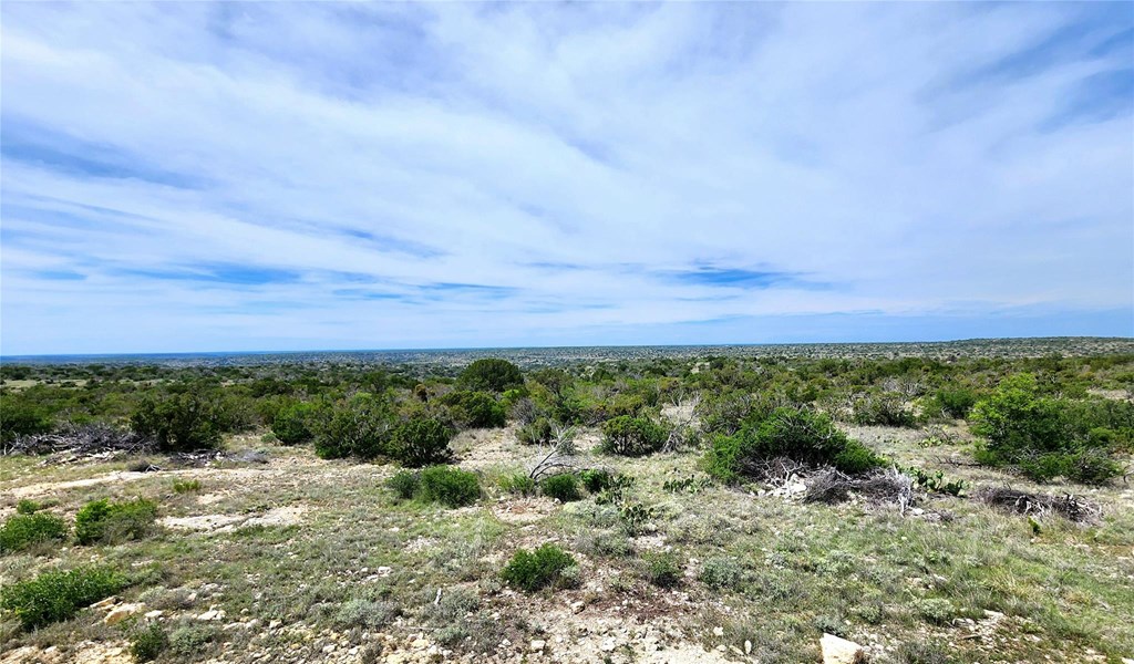 Tbd Tbd Peck Road Comstock, TX 78837 - Photo 3 of 21