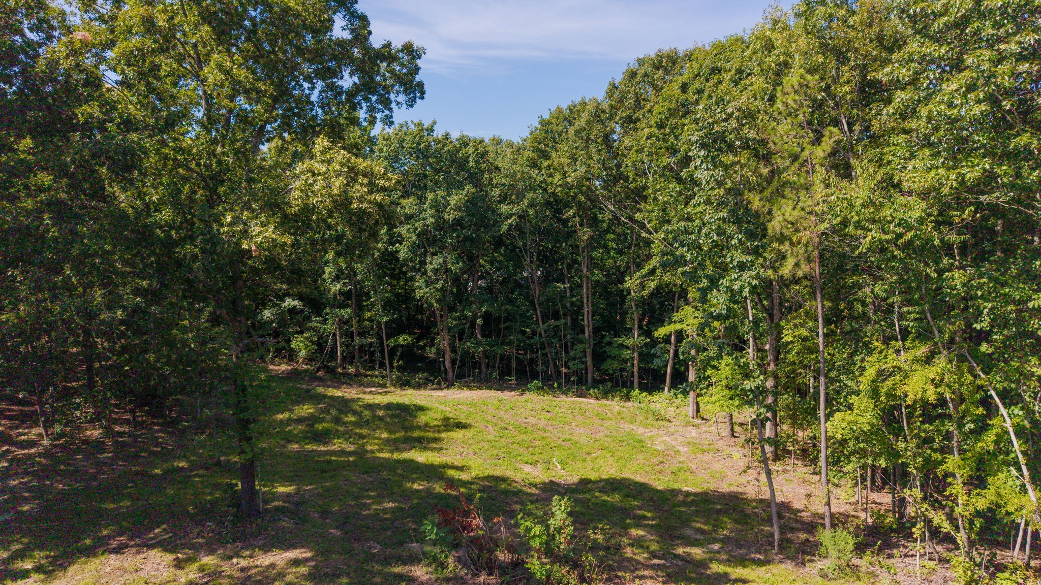 4538 Old Metal Road Palmyra, TN 37142 - Photo 2 of 12 Gallery Image 2