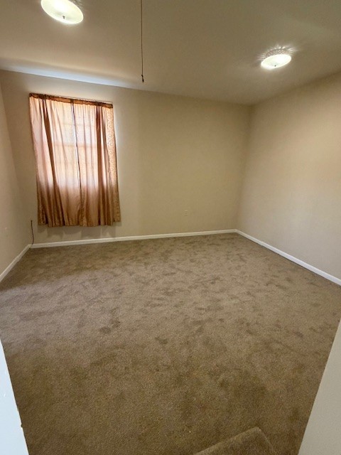 3509 Pinson School Road Springfield, TN 37172 - Photo 10 of 16 an empty room with windows