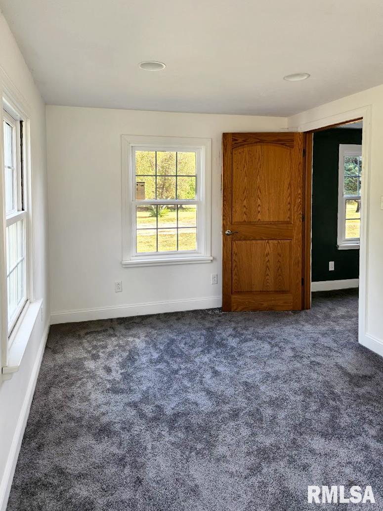 304 North Locust Street Delavan, IL 61734 - Photo 44 of 61