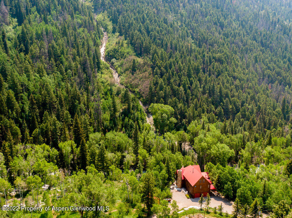 73 Juniper Court Marble, CO 81623 - Photo 4 of 47 a view of a lush green forest