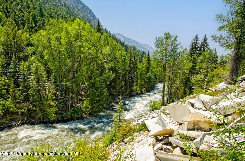 73 Juniper Court Marble, CO 81623 - Photo 42 of 47 a view of a yard with plants and large trees