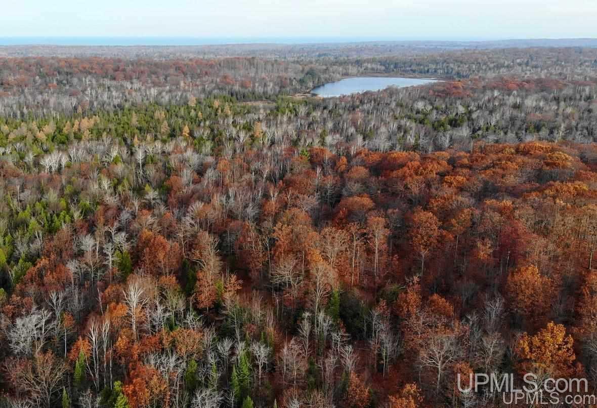 Tbd Tbd Off Us41 Mohawk, MI 49950 - Photo 8 of 22