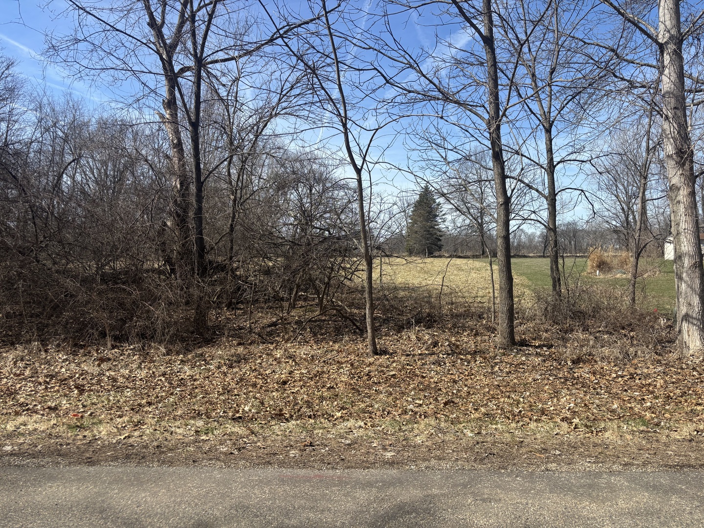 615 Brookside Drive Varna, IL 61375 - Photo 1 of 4 a backyard of a house with lots of green space