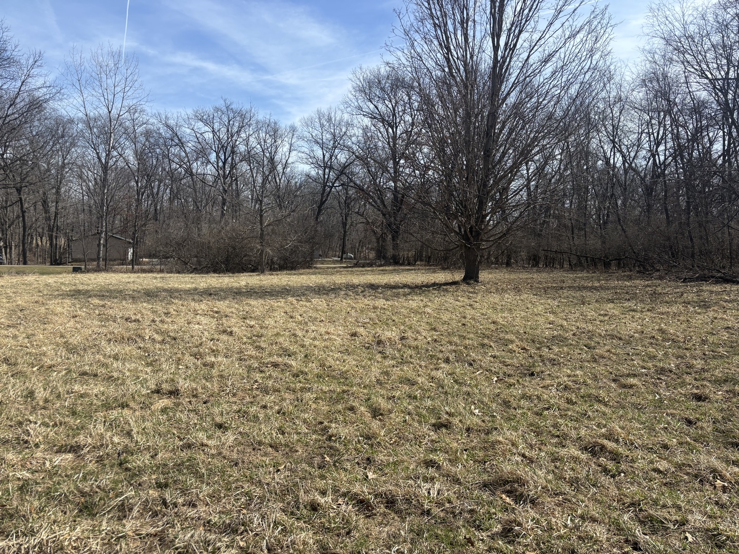 615 Brookside Drive Varna, IL 61375 - Photo 3 of 4 a view of a yard with trees