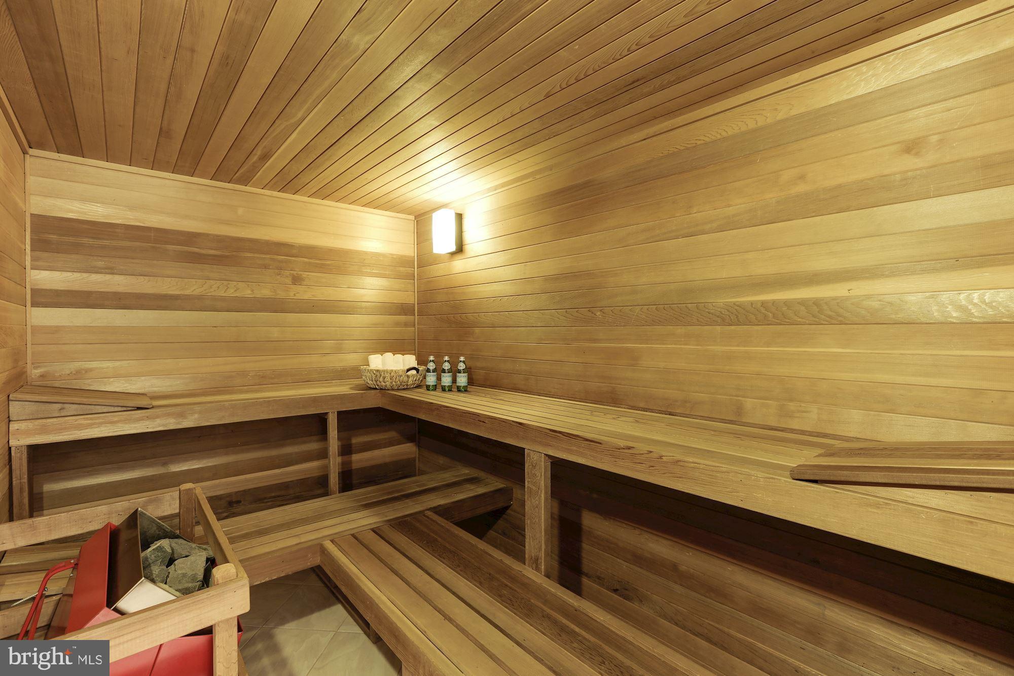 8707 Burning Tree Road Bethesda, MD 20817 - Photo 60 of 69 Sauna