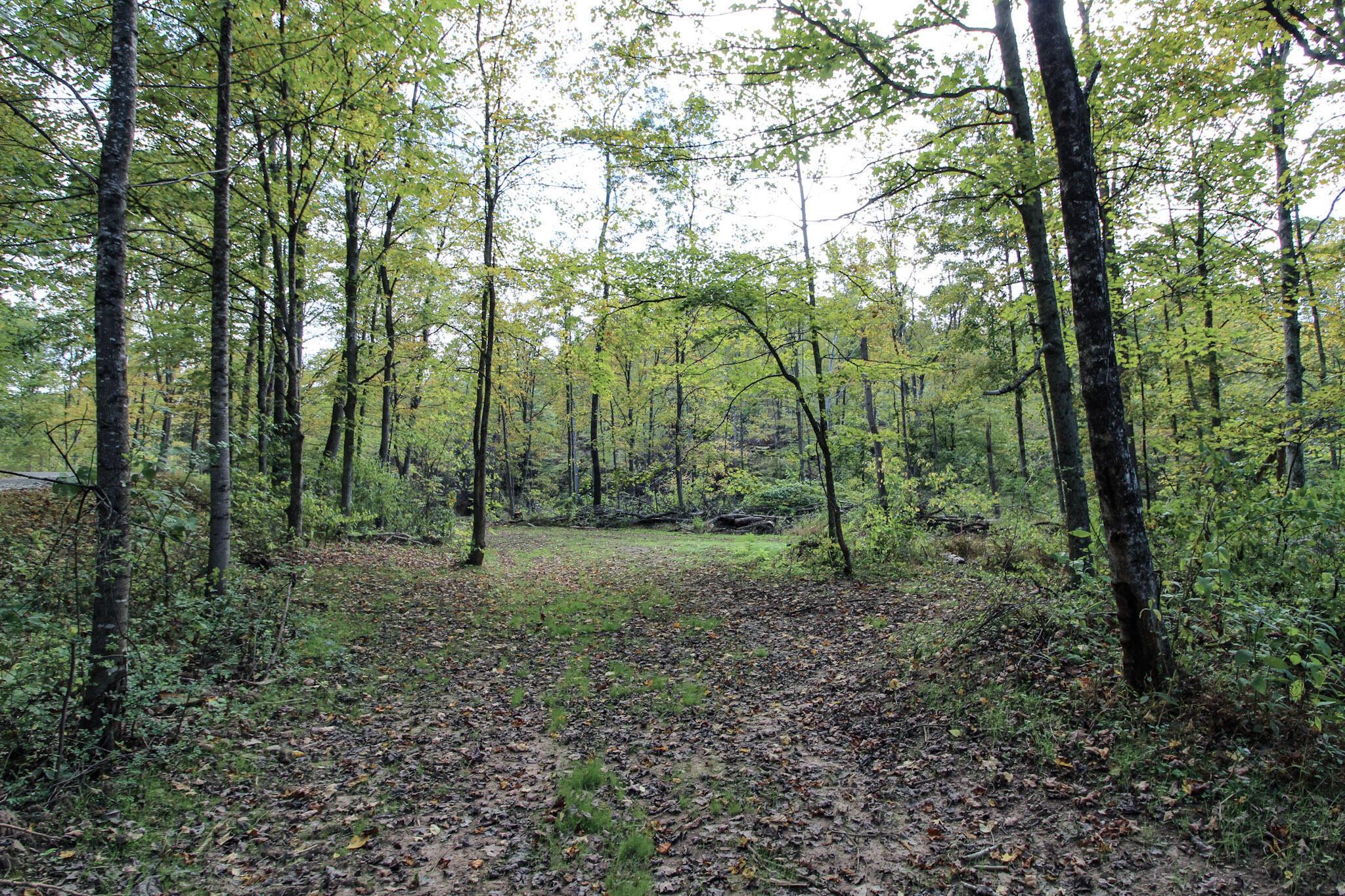 0 Cow Run Road Marietta, OH 45750 - Photo 5 of 17 4-IMG_9098
