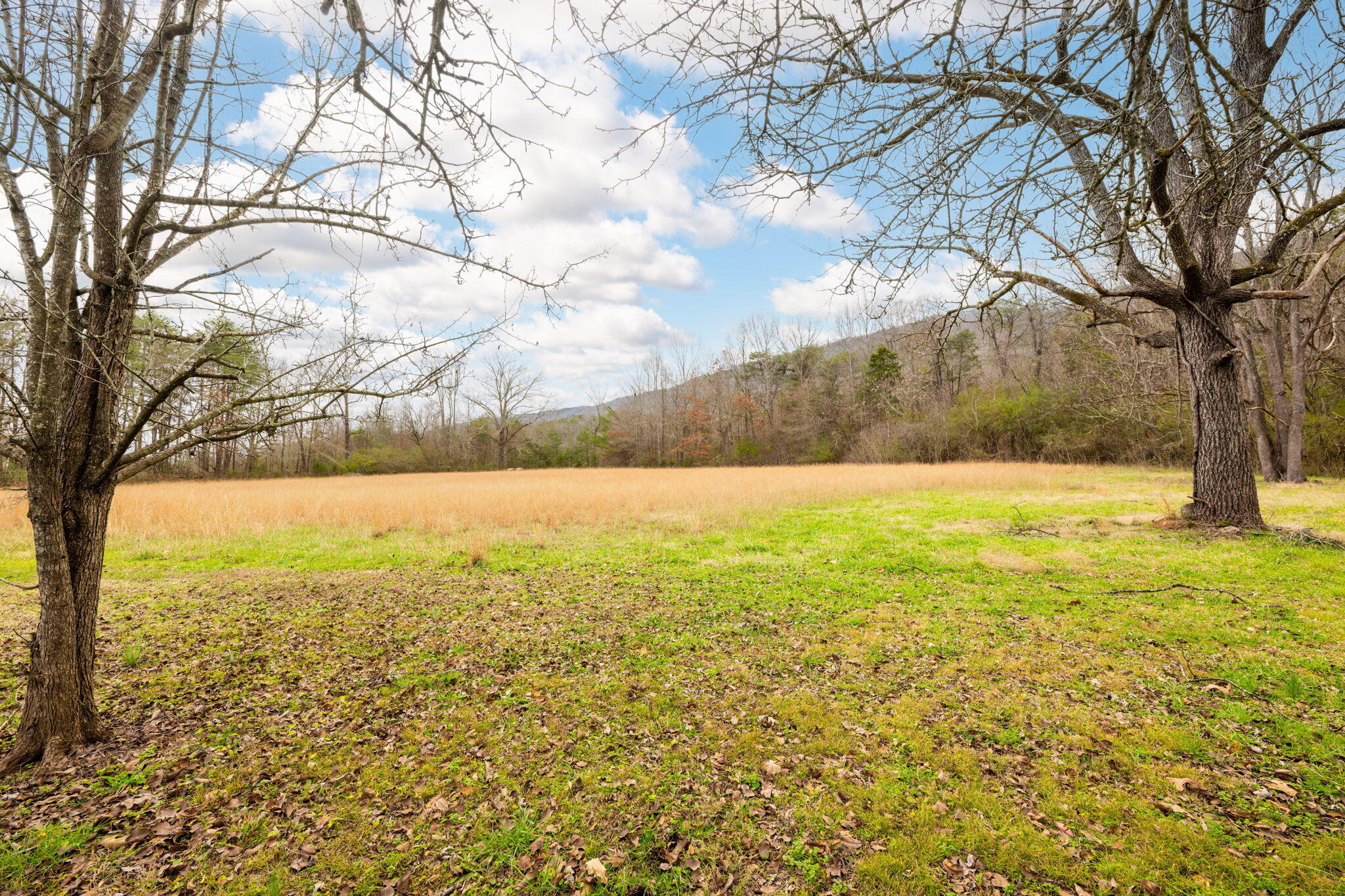 2861 Old Dunlap Road Whitwell, TN 37397 - Photo 37 of 49 49-web-or-mls-DSC_1047-2-79