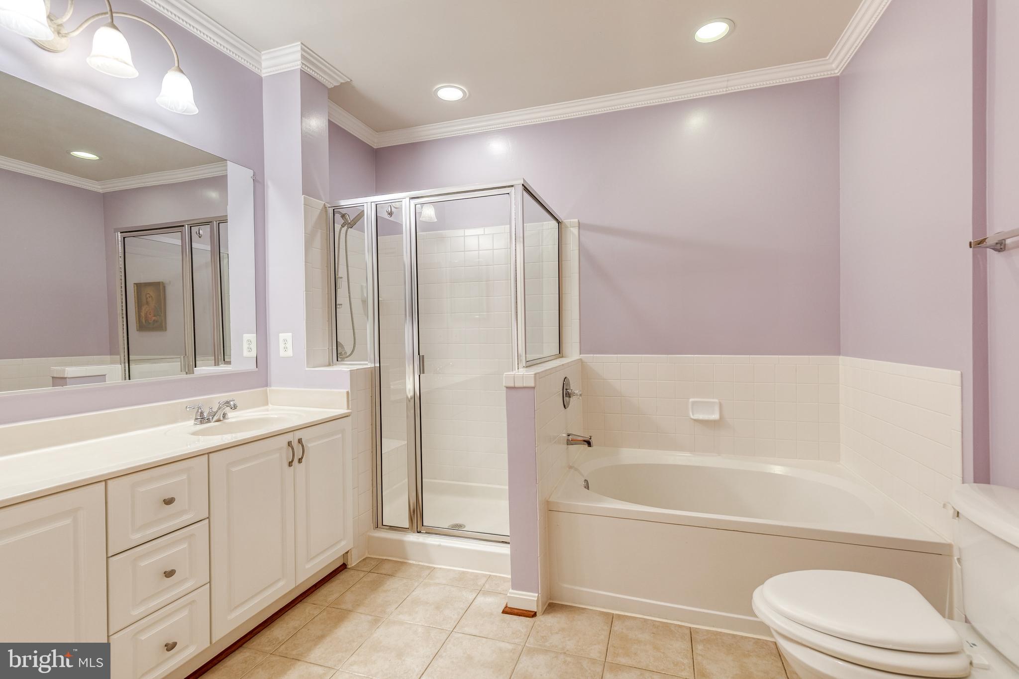 400 Symphony Circle, Unit 406 Hunt Valley, MD 21030 - Photo 20 of 37 a bathroom with a granite countertop sink toilet tub and shower