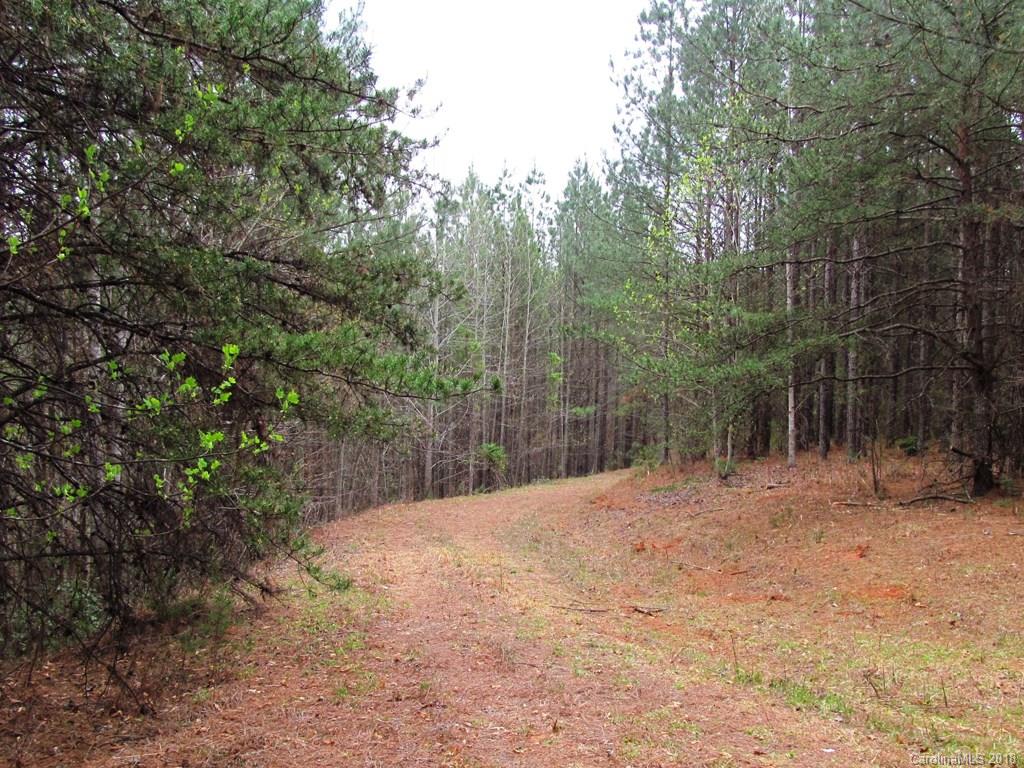9 Destiny Dr Mill Spring Mill Spring, NC 28756 - Photo 2 of 13 a view of a yard with a tree