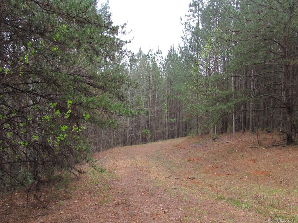 9 Destiny Dr Mill Spring Mill Spring, NC 28756 - Photo 3 of 13 a view of a forest with trees in the background