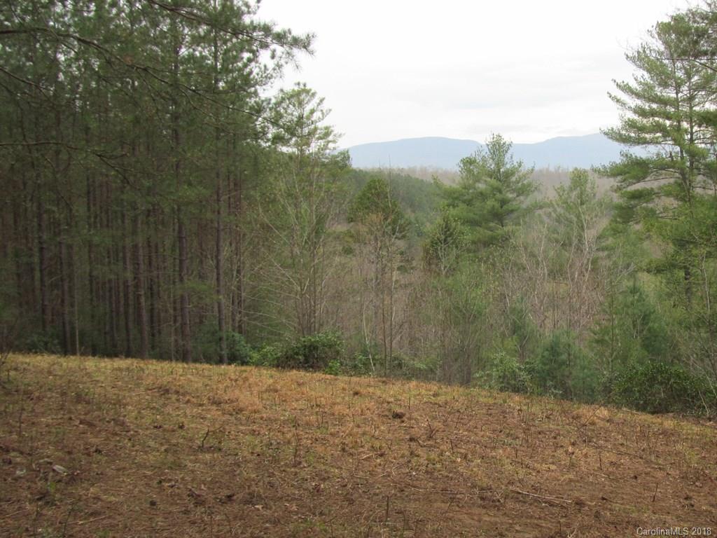 9 Destiny Dr Mill Spring Mill Spring, NC 28756 - Photo 4 of 13