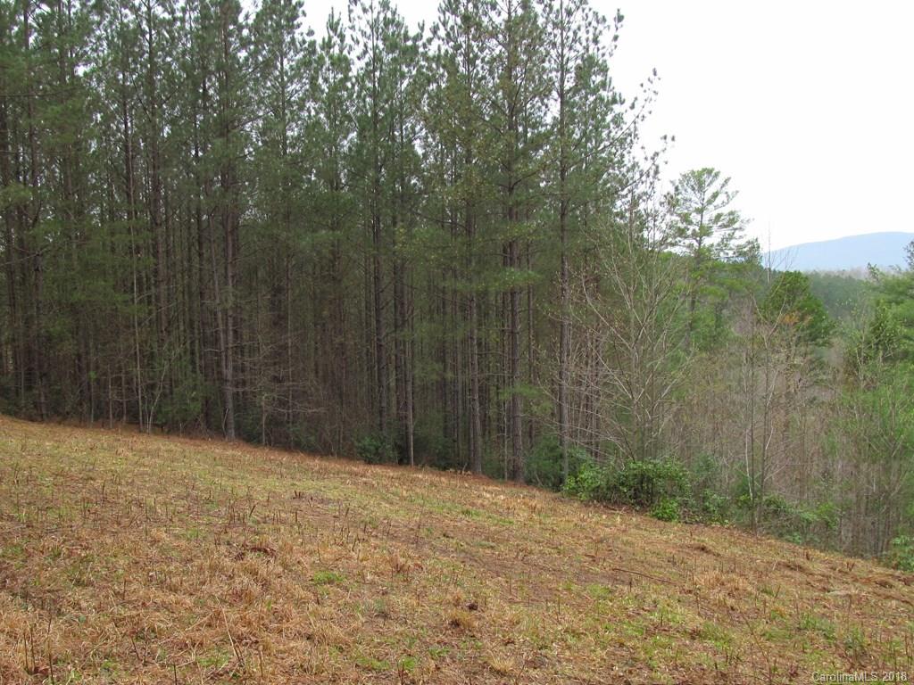 9 Destiny Dr Mill Spring Mill Spring, NC 28756 - Photo 6 of 13 a view of wooden fence