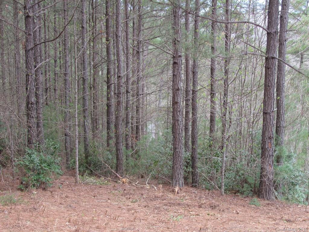 9 Destiny Dr Mill Spring Mill Spring, NC 28756 - Photo 7 of 13 a view of a forest with trees in the background