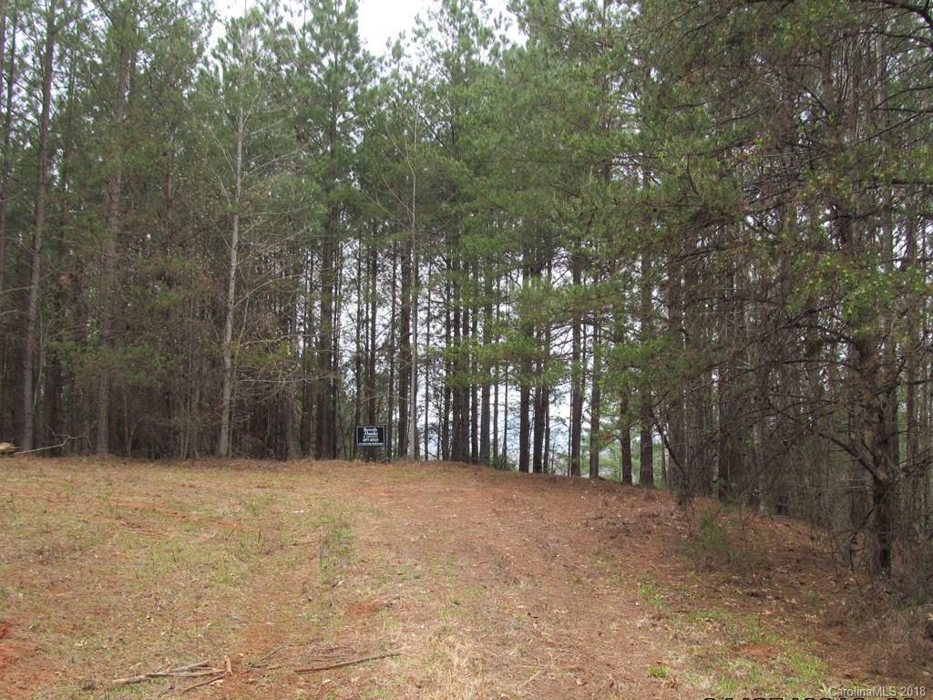 9 Destiny Dr Mill Spring Mill Spring, NC 28756 - Photo 8 of 13 a view of outdoor space with lots of trees