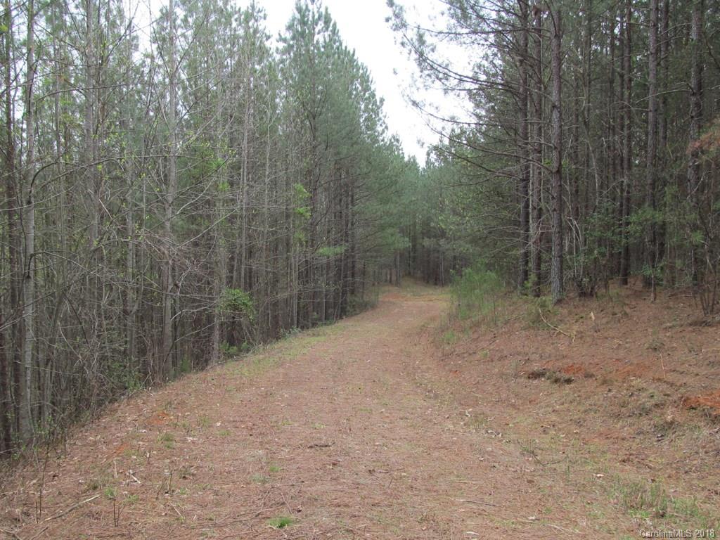 9 Destiny Dr Mill Spring Mill Spring, NC 28756 - Photo 9 of 13 a view of a forest with a trees