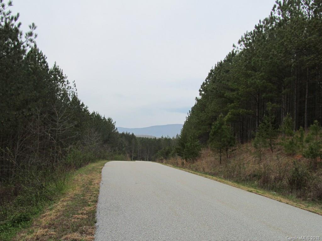 9 Destiny Dr Mill Spring Mill Spring, NC 28756 - Photo 10 of 13 a view of a forest with a forest