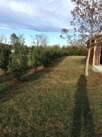 765 Lovejoy Road Sparta, TN 38583 - Photo 30 of 34 168642_29