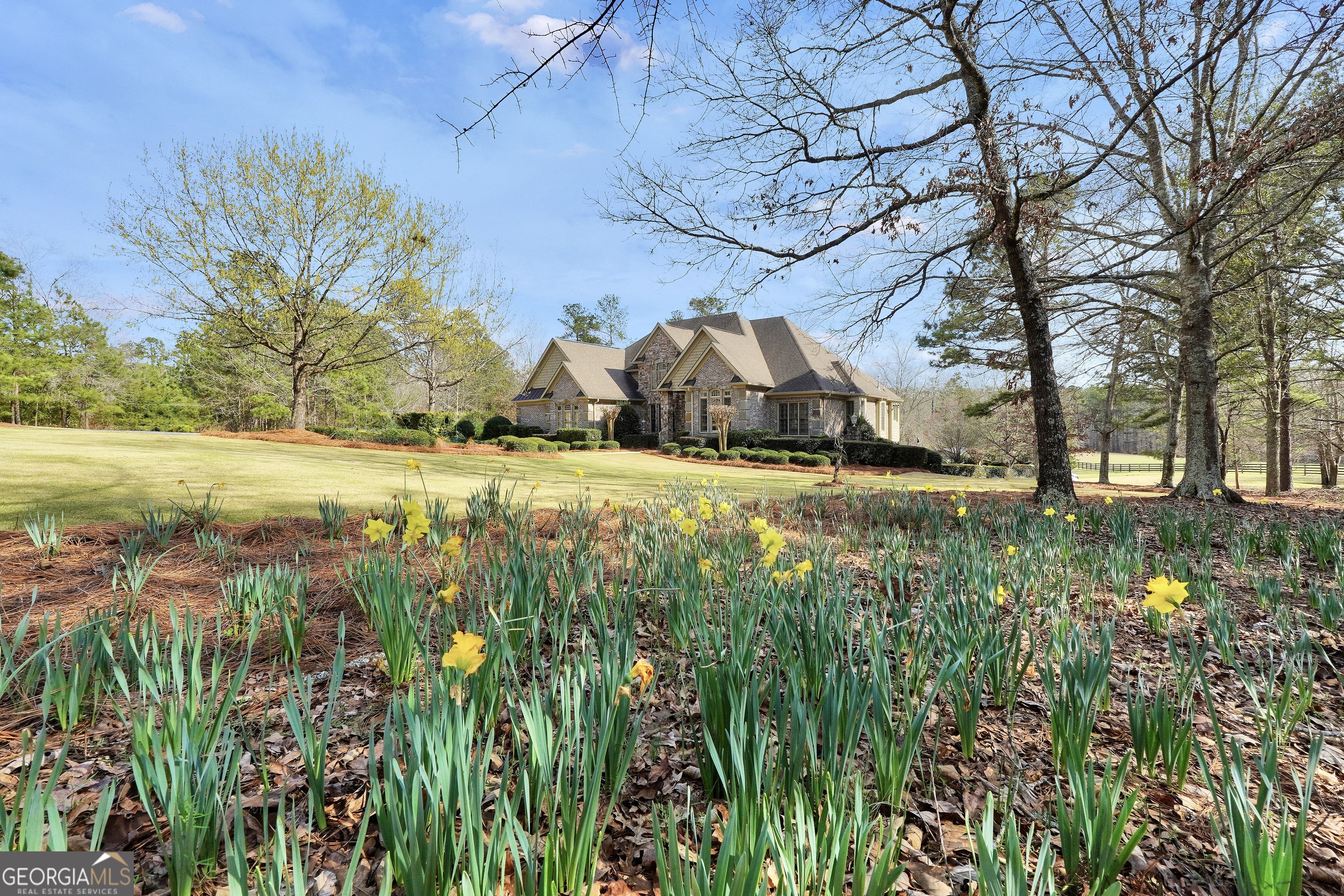 610 Elliott Road McDonough, GA 30252 - Photo 84 of 92 a view of a yard with plants and large trees