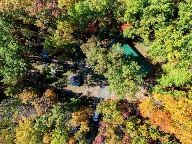 5745 Carpenter Road Whittemore, MI 48770 - Photo 4 of 17