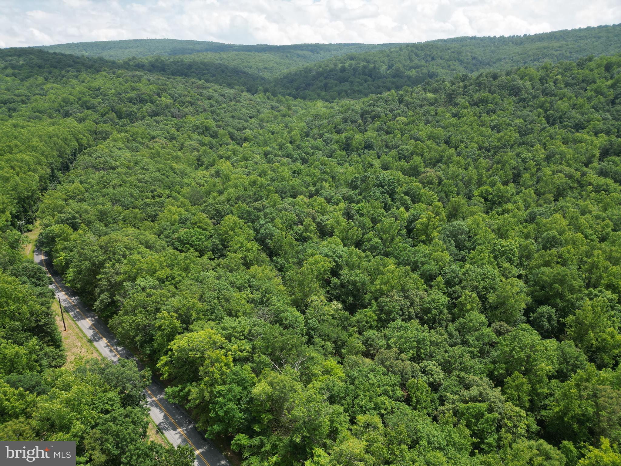 Mt Carmel Road Boyce, VA 22620 - Photo 13 of 40 a view of a lush green forest with trees and some houses