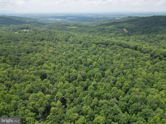 a view of a green field with lots of bushes