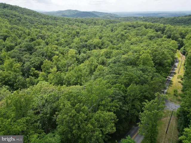 a view of a lush green forest with trees and some houses