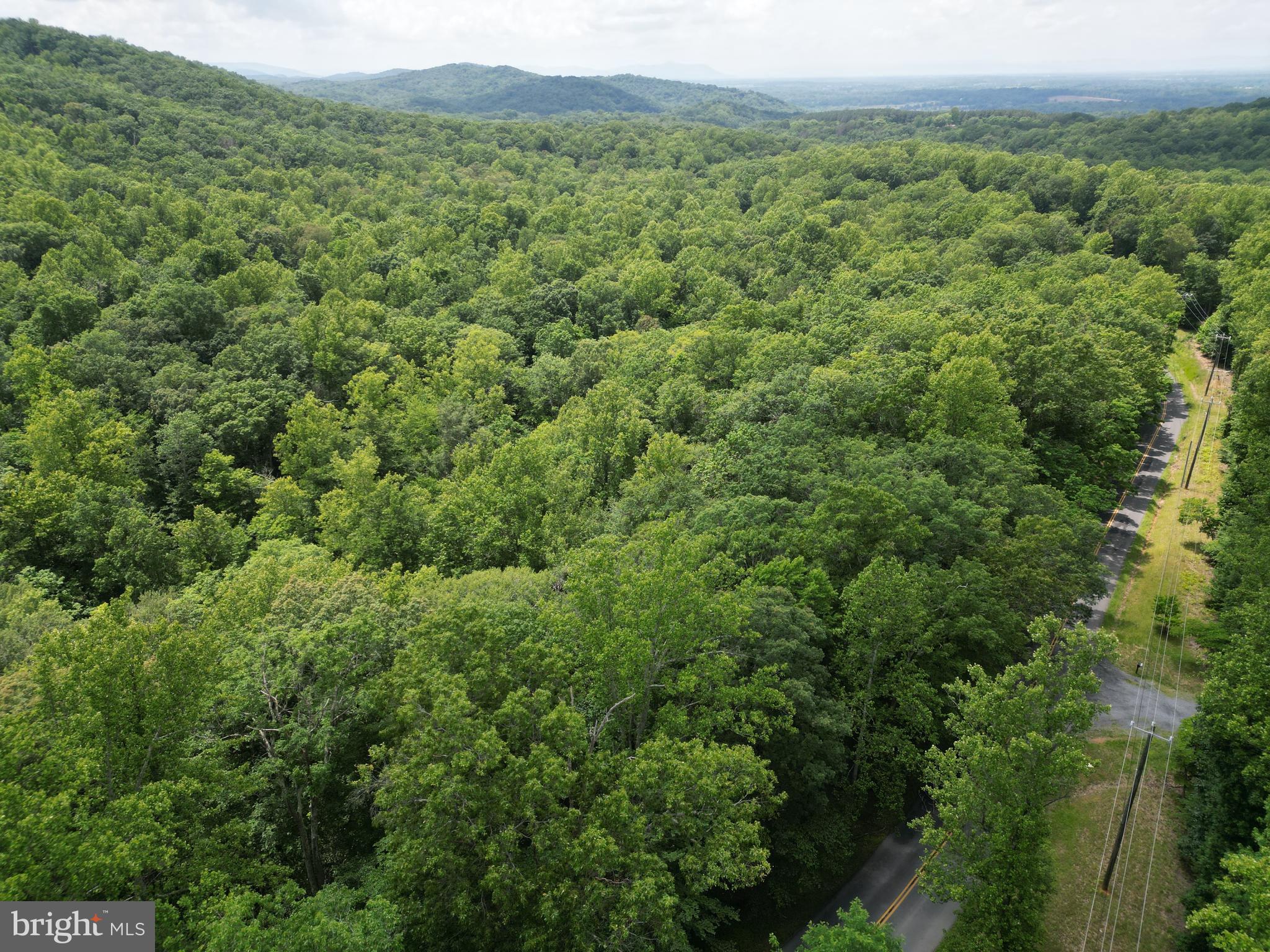 Mt Carmel Road Boyce, VA 22620 - Photo 2 of 40 a view of a lush green forest with trees and some houses