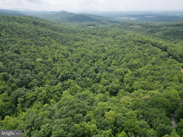 a view of a lush green forest with trees and some houses
