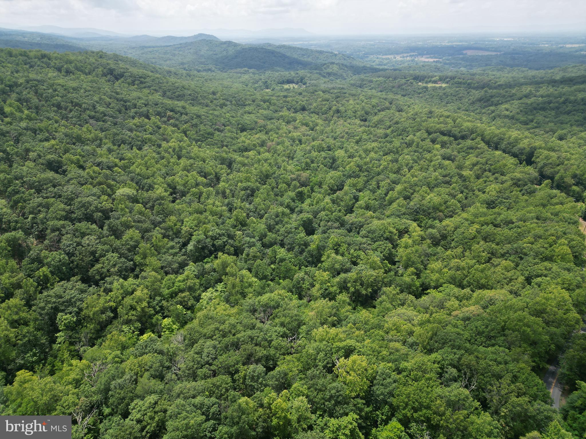 Mt Carmel Road Boyce, VA 22620 - Photo 22 of 40 a view of a lush green forest with trees and some houses