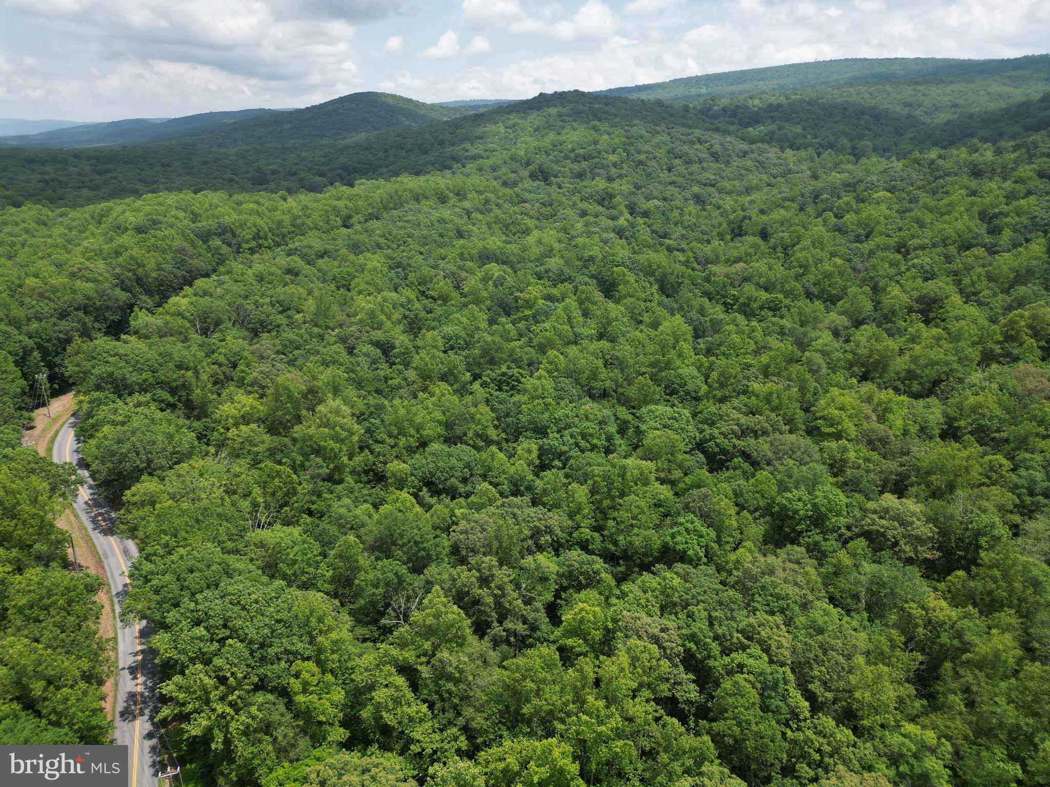 Mt Carmel Road Boyce, VA 22620 - Photo 3 of 40 a view of a lush green forest with lush green forest