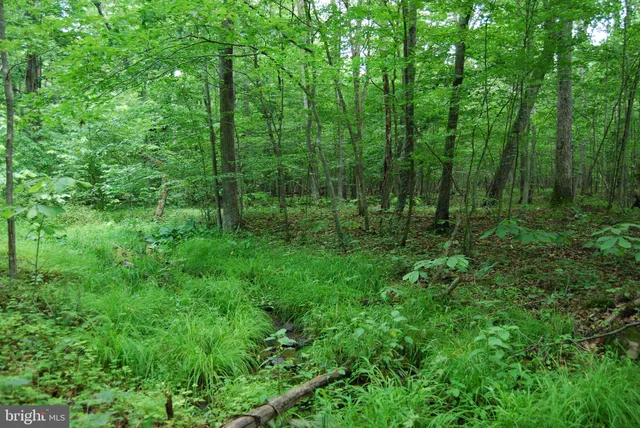 a view of a street both of side of green space