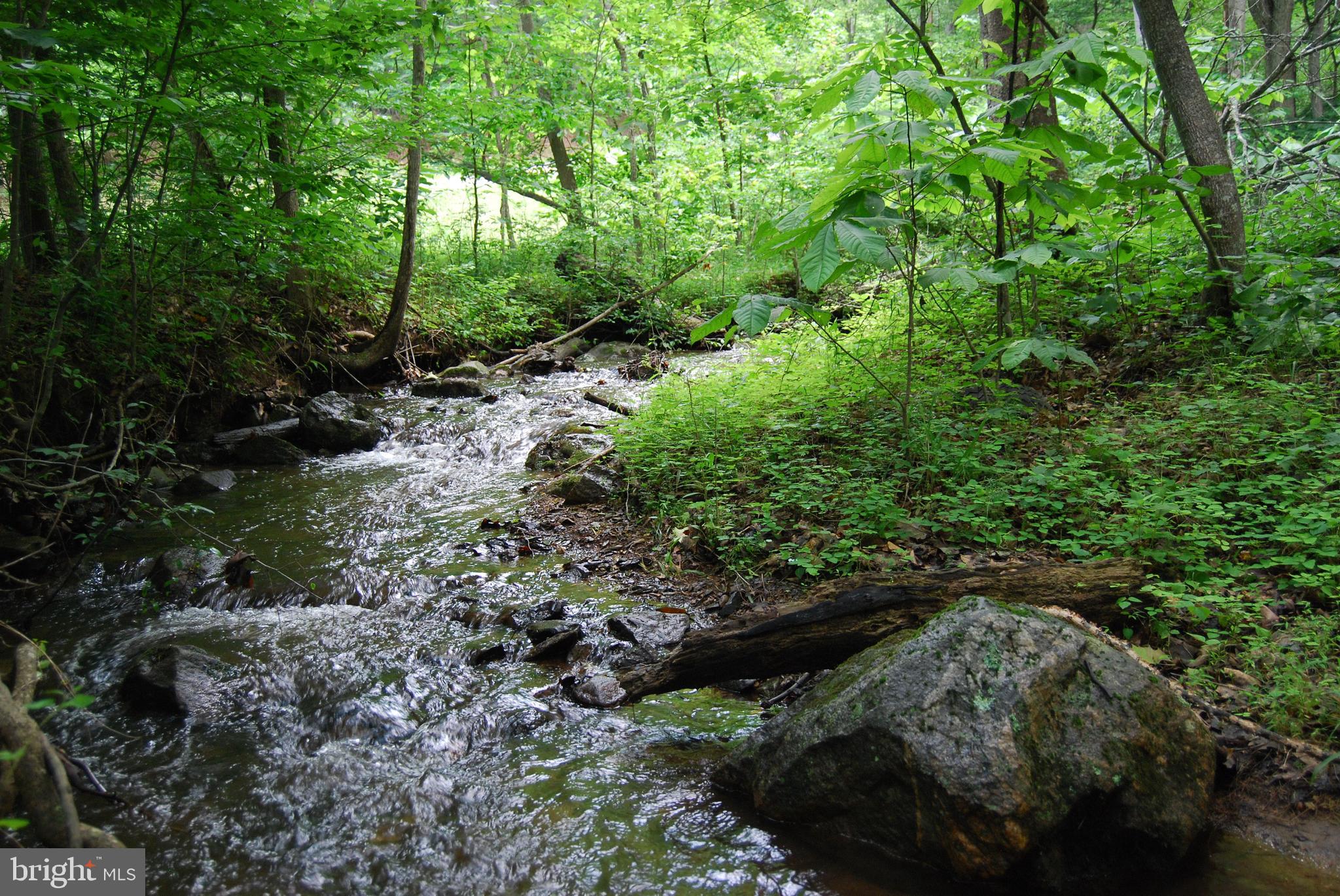 Mt Carmel Road Boyce, VA 22620 - Photo 34 of 40 a view of a lush green forest with lots of trees