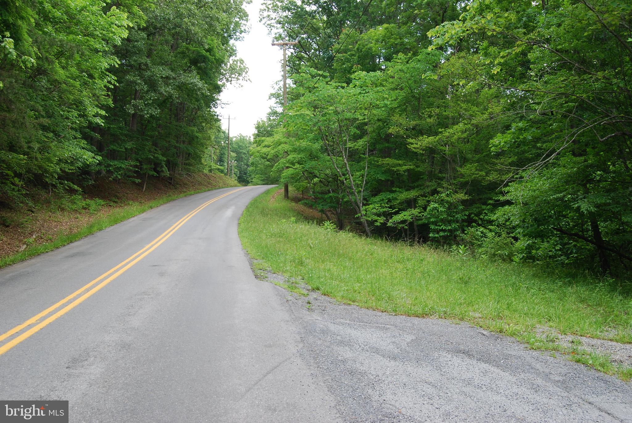 Mt Carmel Road Boyce, VA 22620 - Photo 35 of 40 a view of a street both of side of green space