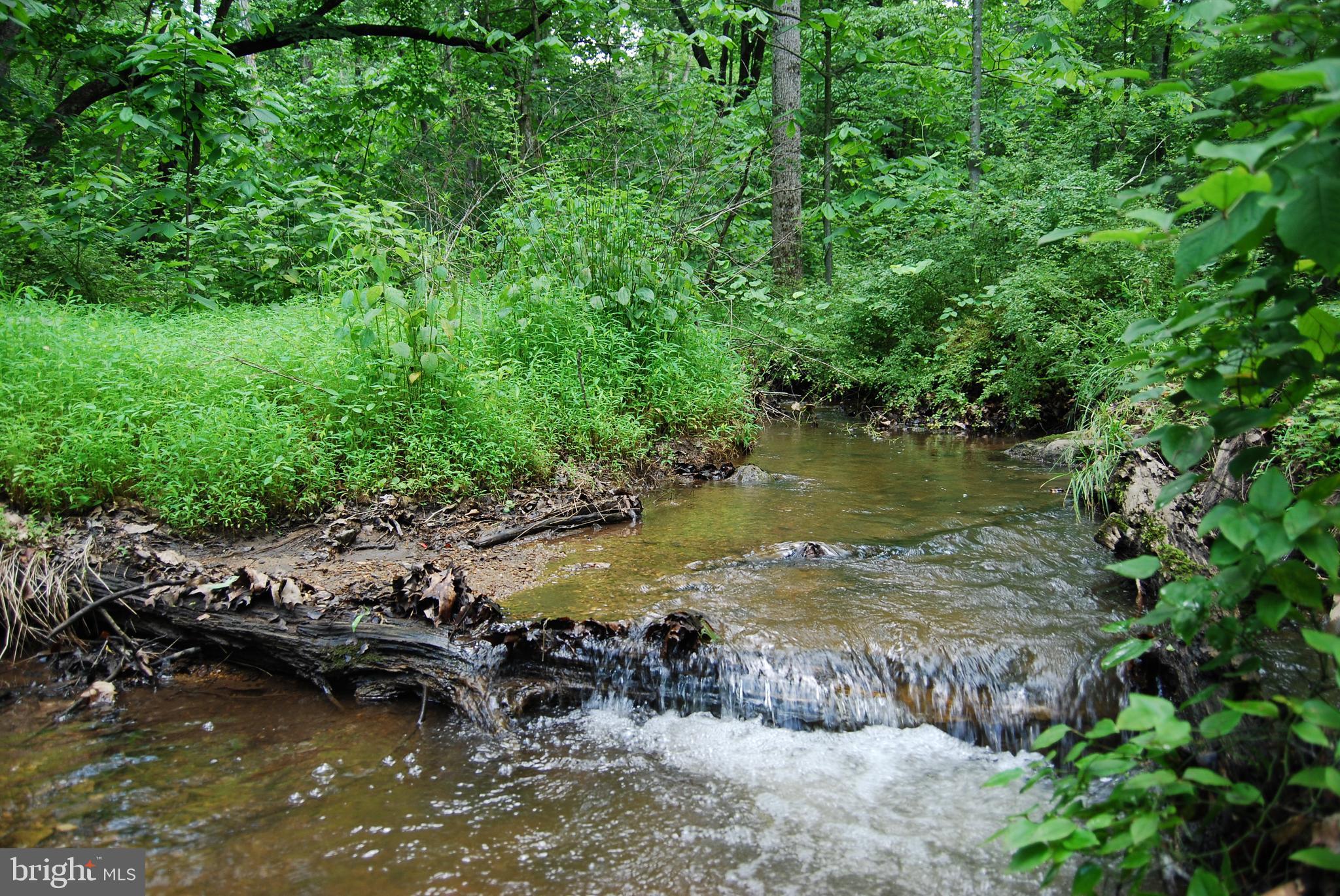 Mt Carmel Road Boyce, VA 22620 - Photo 4 of 40 a view of a lake with lawn chairs and large trees