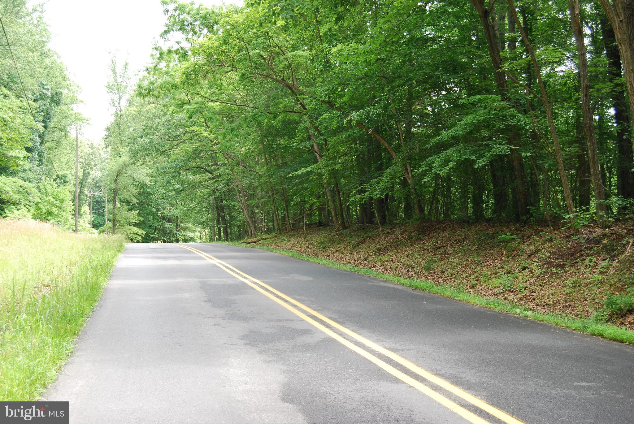 Mt Carmel Road Boyce, VA 22620 - Photo 6 of 40 a view of a yard with plants and trees