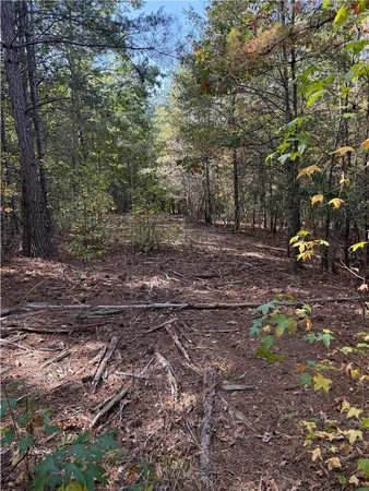 $300,000 | 0 Hunters Trail, Anderson, SC 29625
